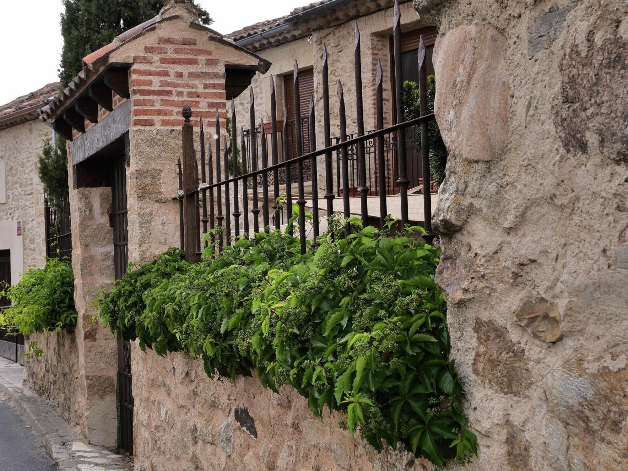 Pensión Real Mingaseda 4*